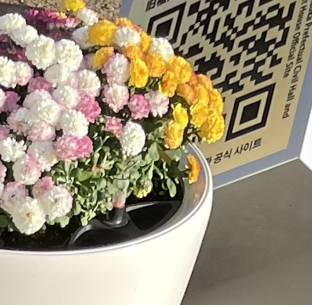 [OSINT] flower_bed QR 部分